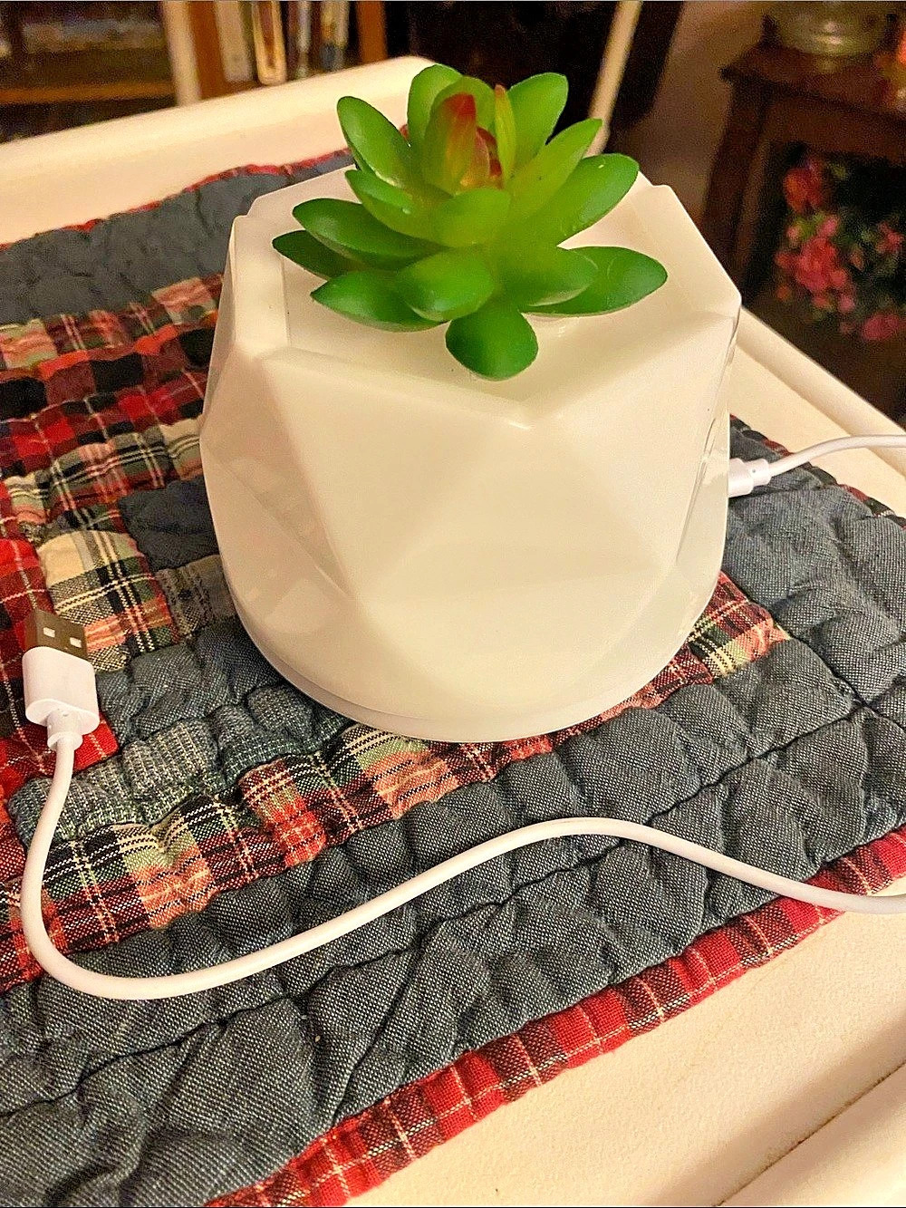 #2
Faux Succulent USB powered diffuser in White & Green